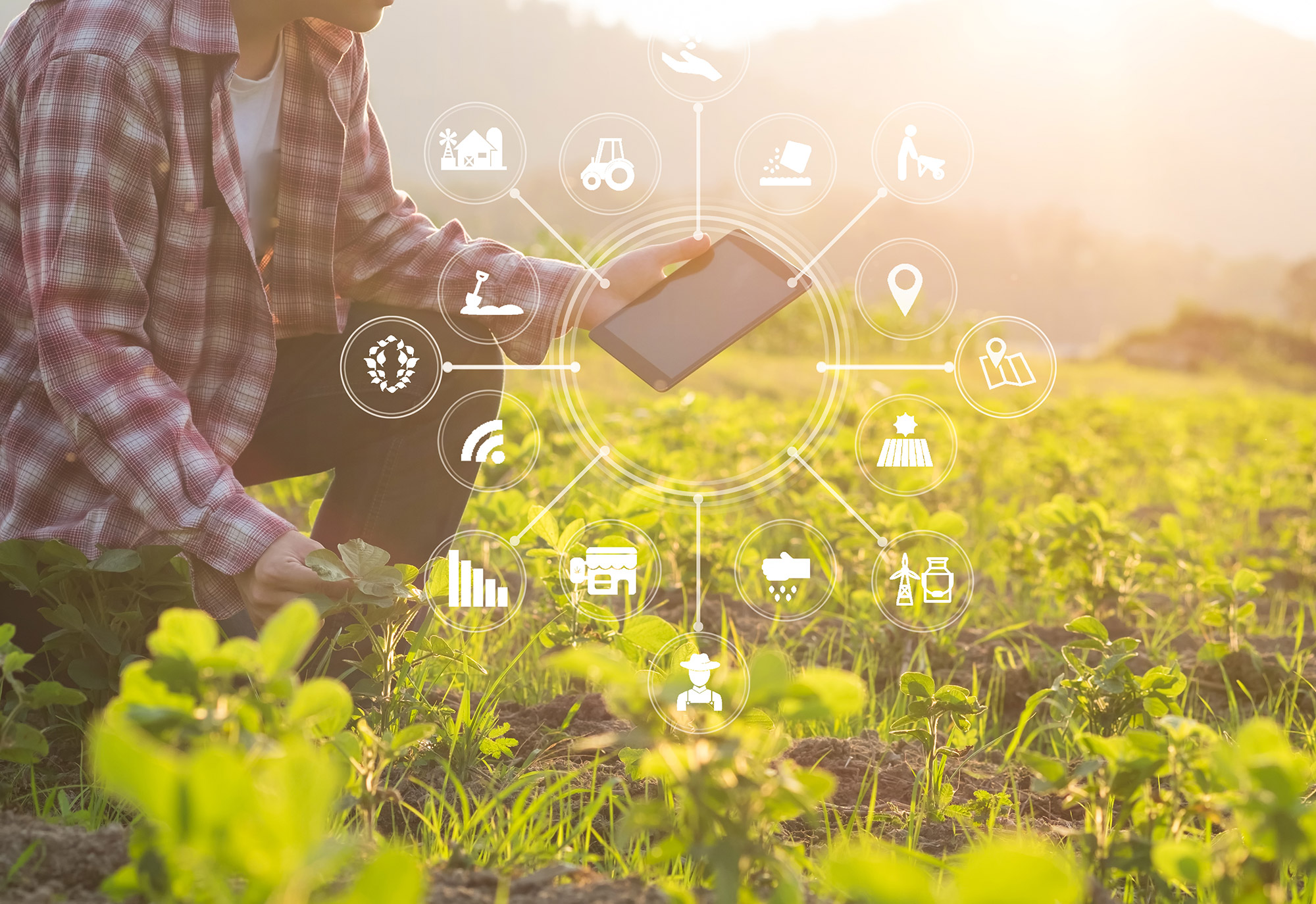 Agriculture technology farmer man using tablet computer analysis data and visual icon.