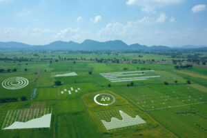 Farm overlayed with data visualization graphics