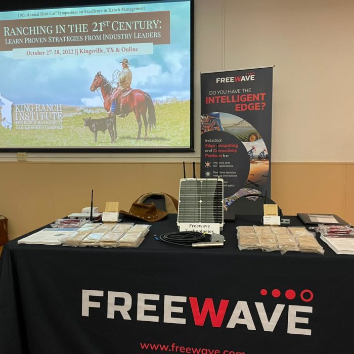 FreeWave at Holt Colt at King Ranch