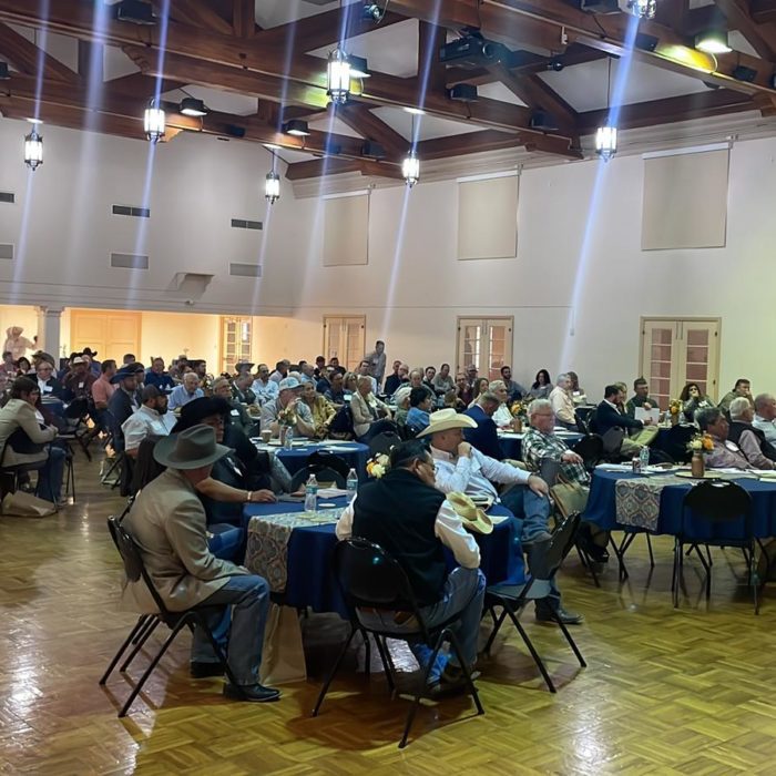 Great crowds at the Holt Colt @ King Ranch