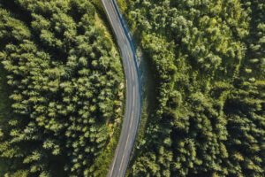 IoT and the Carbon Market